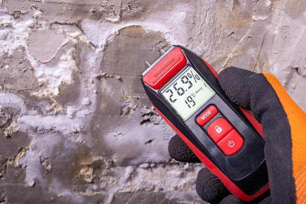 Office Mold Removal Services in Arcadia, WI