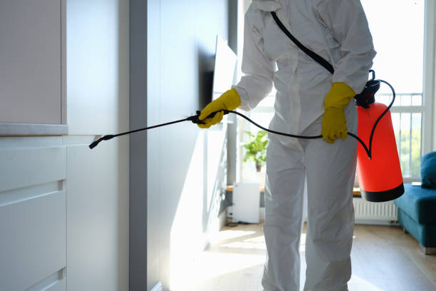 Best Certified Mold Removal  in Arcadia, WI