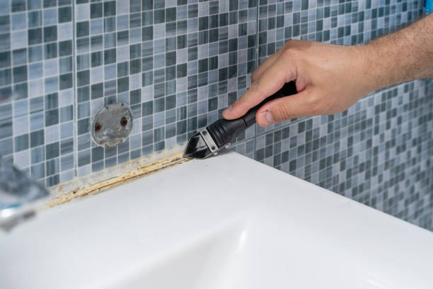 Best Home Mold Removal  in Arcadia, WI